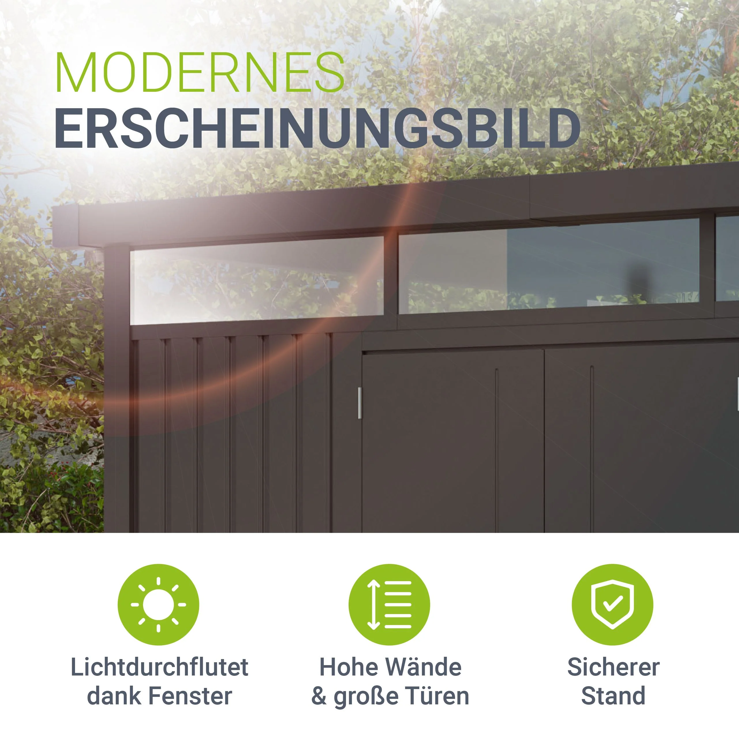 Vorschaubild 12