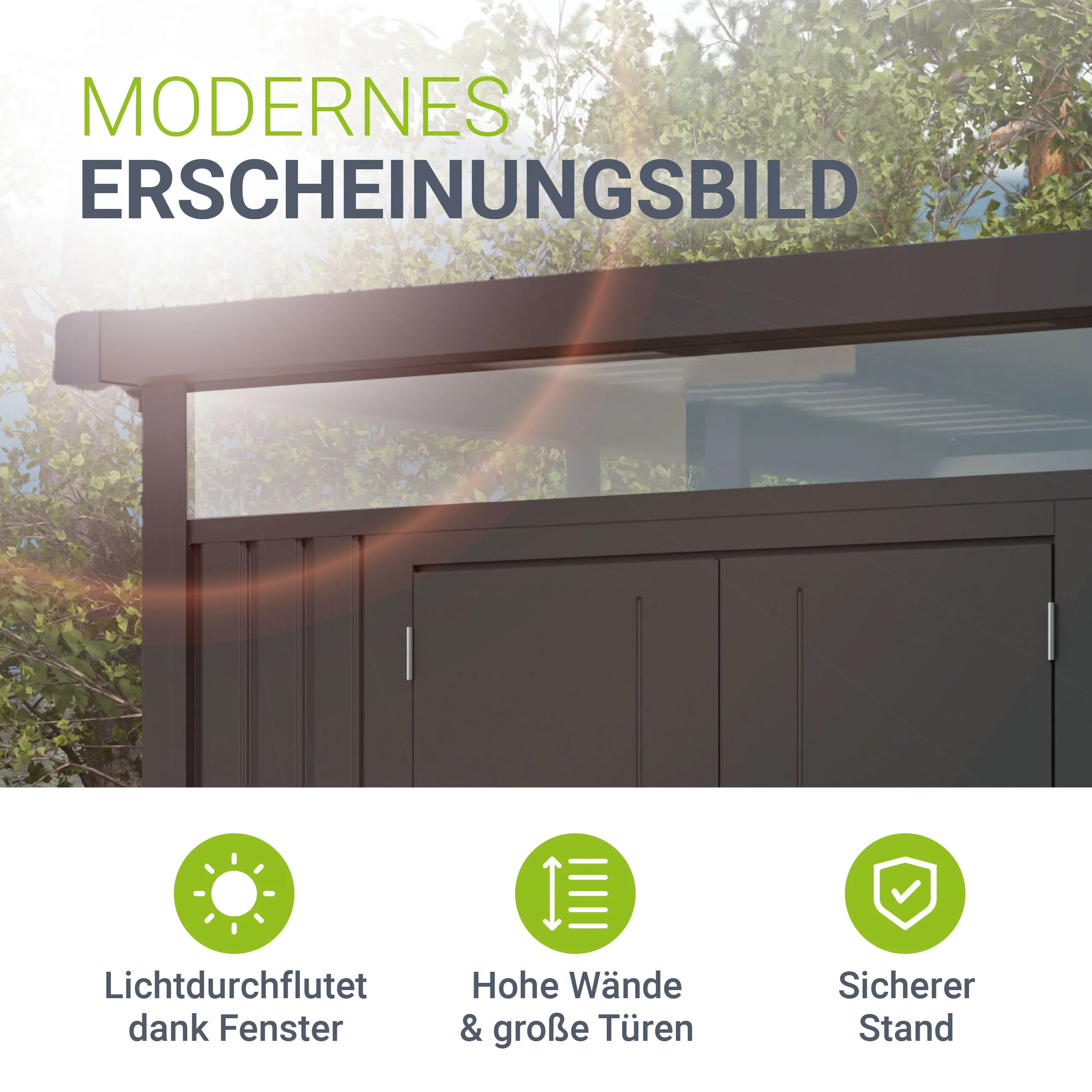 Vorschaubild 5